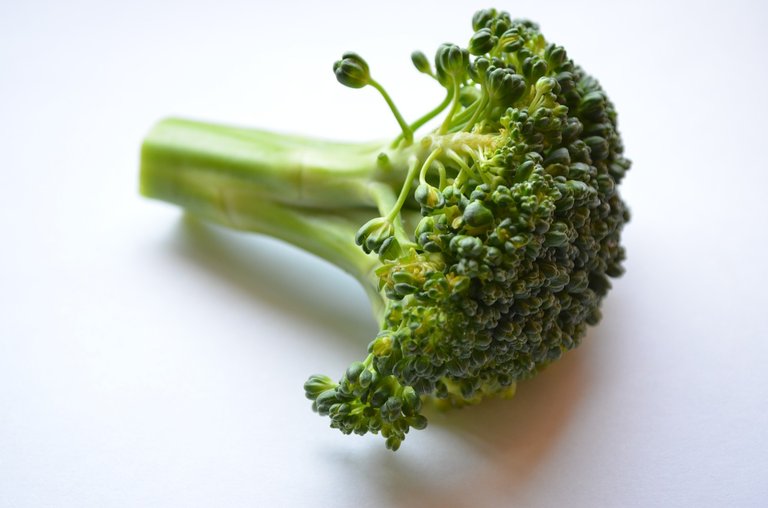 El brócoli, un aliado de la salud